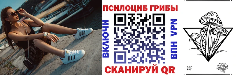 Псилоцибиновые грибы GOLDEN TEACHER  купить   Лосино-Петровский 