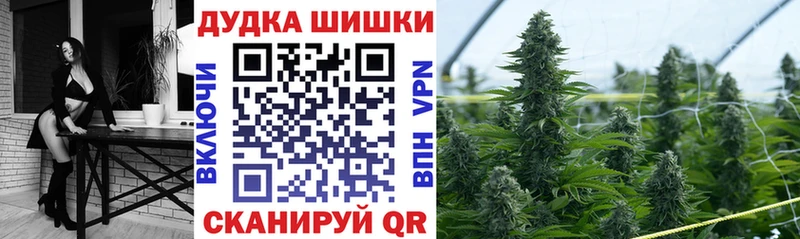 закладки  Лосино-Петровский  Шишки марихуана SATIVA & INDICA 
